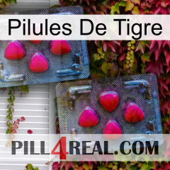 Tiger Pills 14